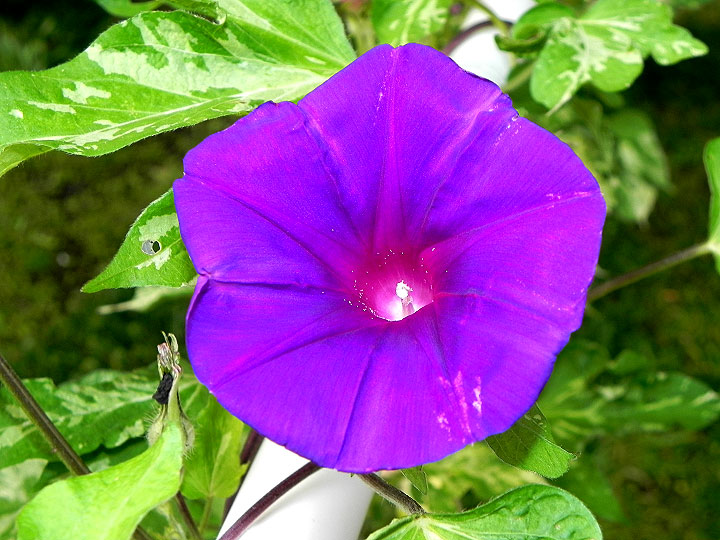 DSCN4414_01