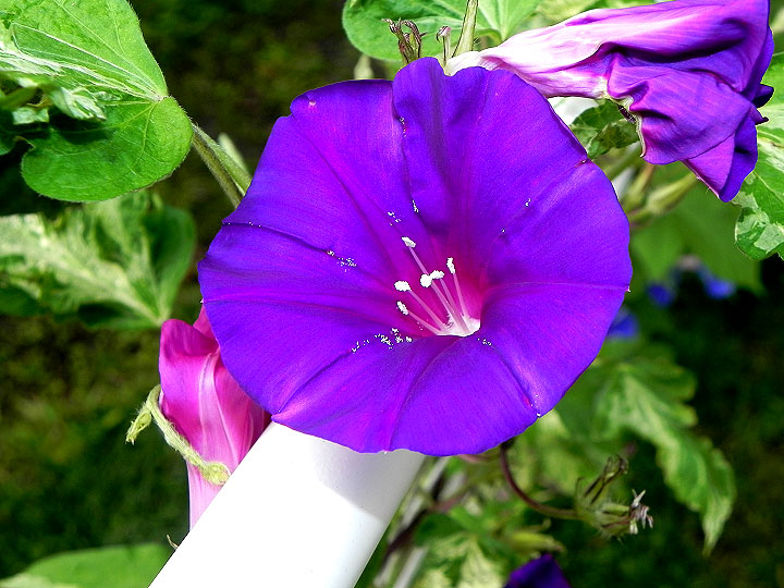 DSCN4415_01