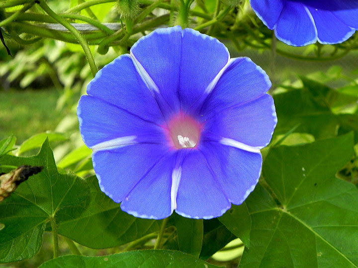 DSCN4416
