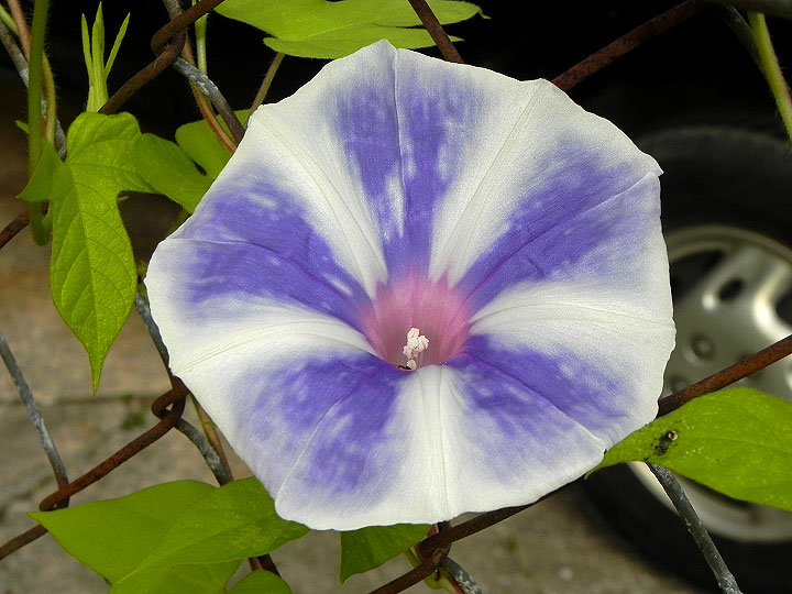 DSCN4445_01