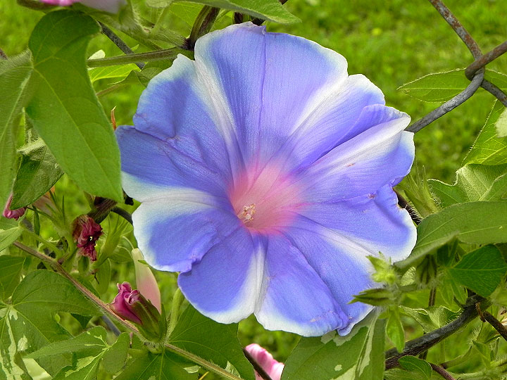 DSCN4467_01