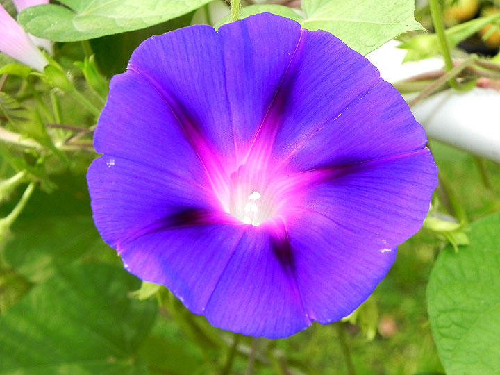 DSCN4566_01
