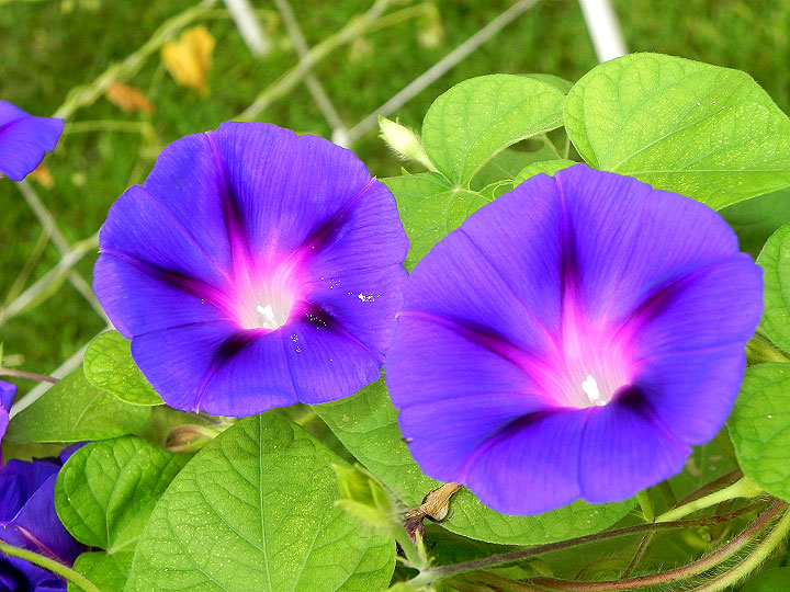 DSCN4568_01