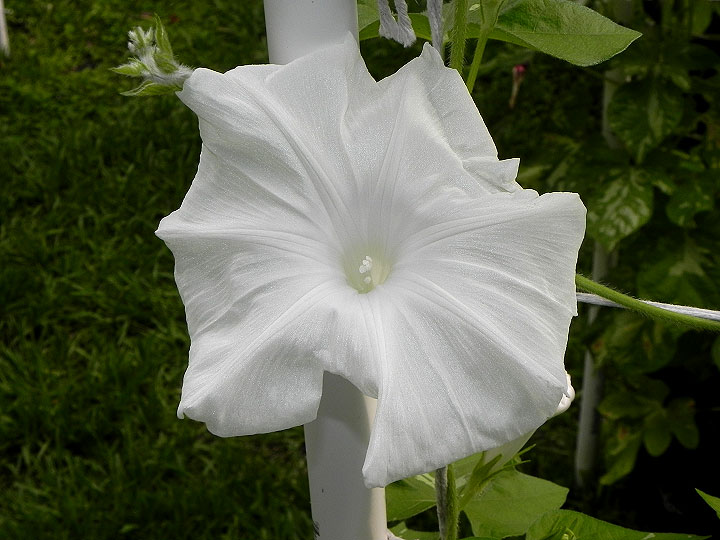 DSCN4574_01