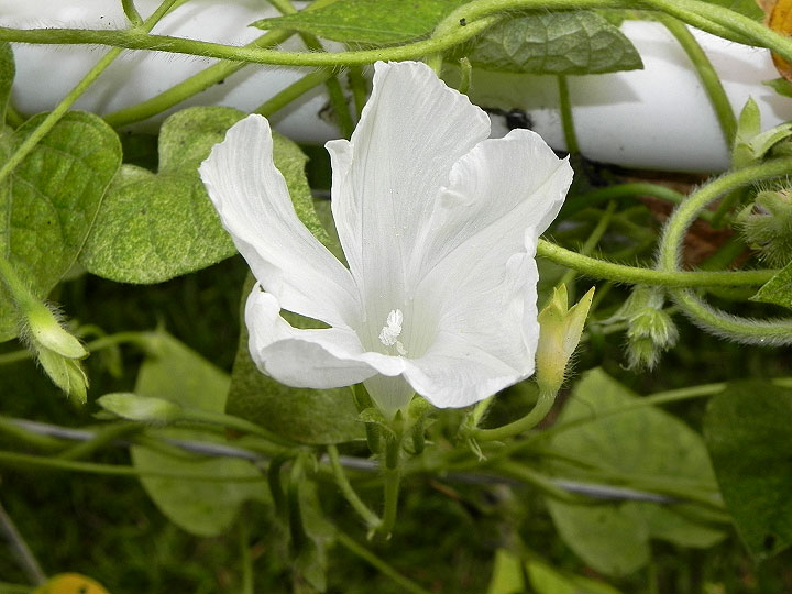 DSCN4576_01