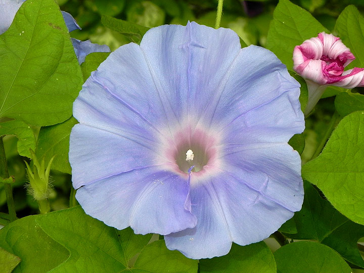 DSCN4614