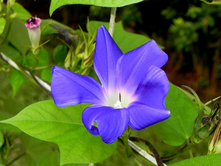 DSCN4627