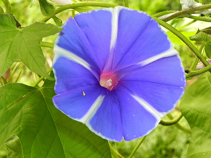 DSCN4644