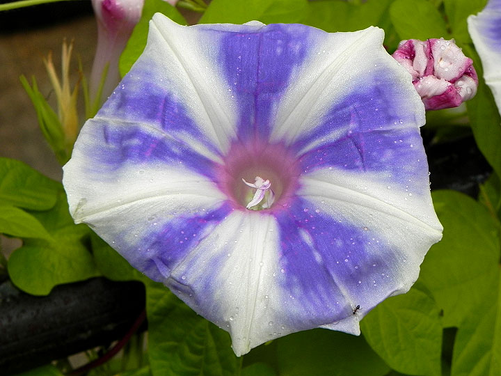DSCN4740