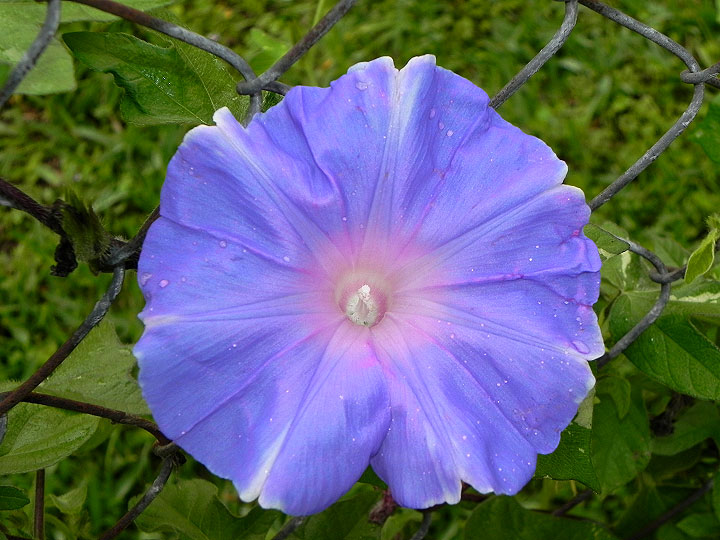 DSCN4757