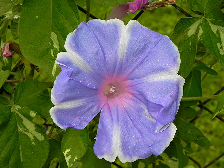 DSCN4758