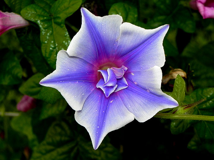 DSCN4772