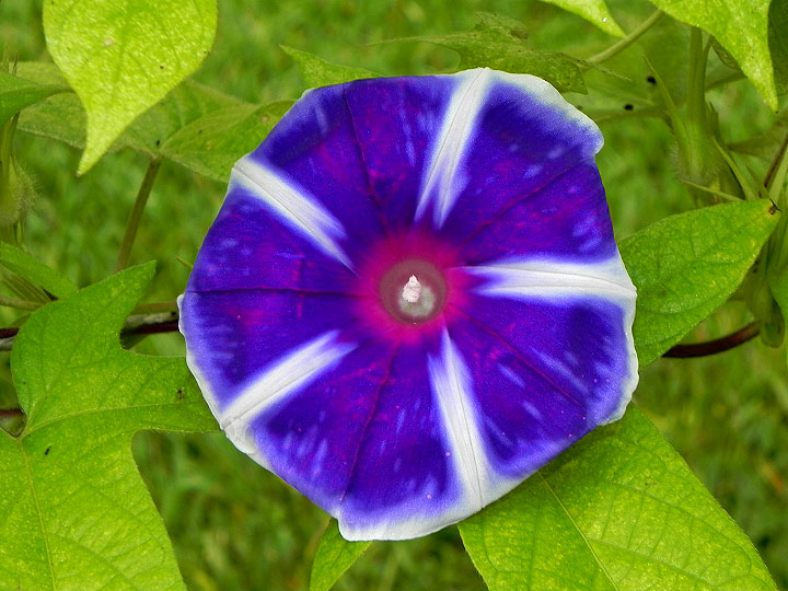 DSCN4798