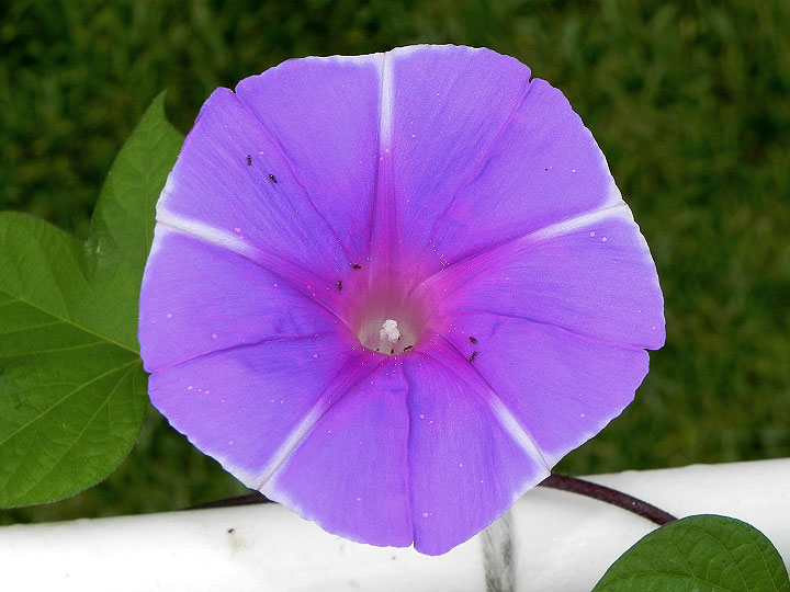 DSCN4806_01