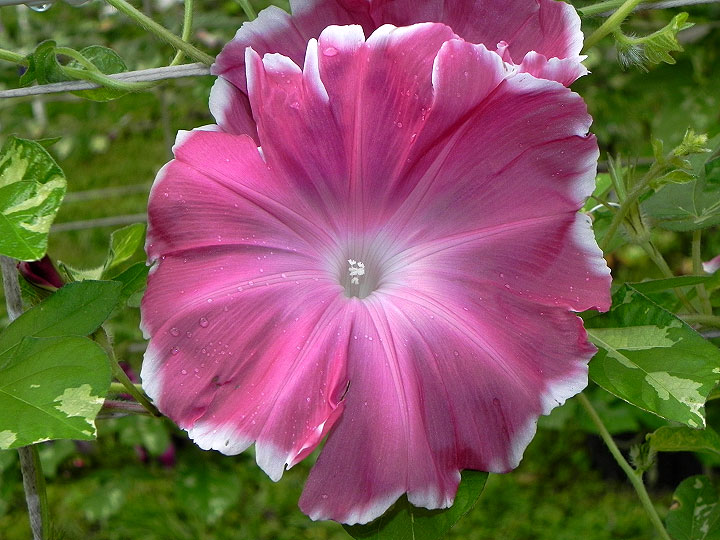 DSCN4815_01