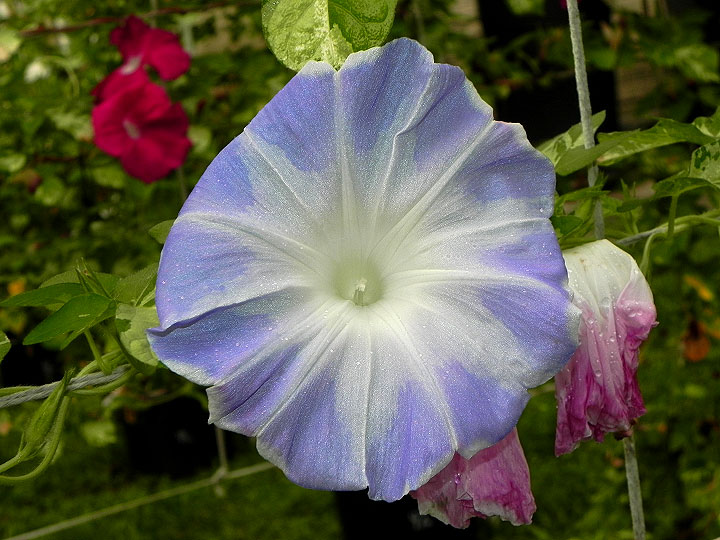 DSCN4818_01