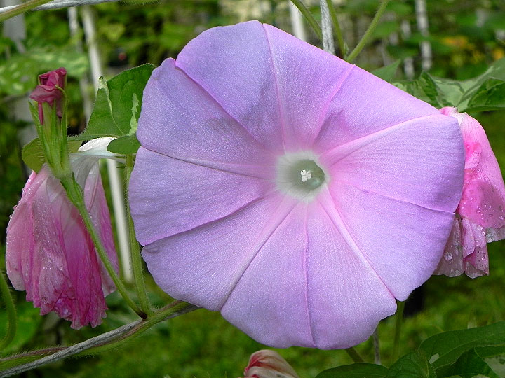 DSCN4821_01