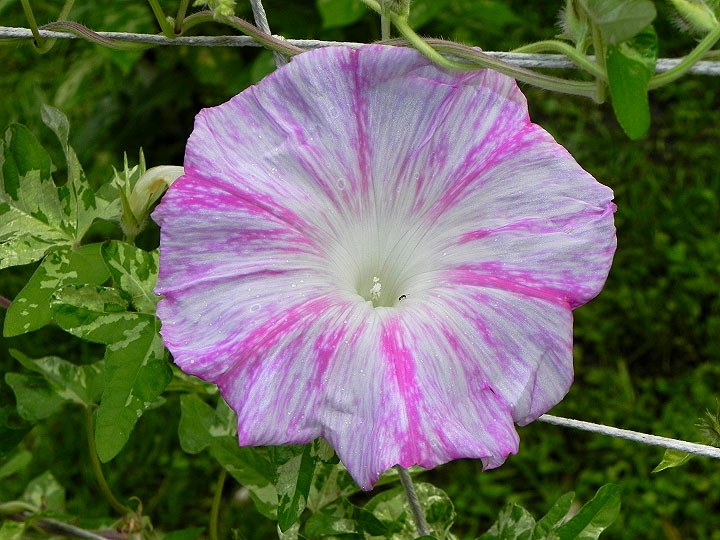 DSCN4829_01