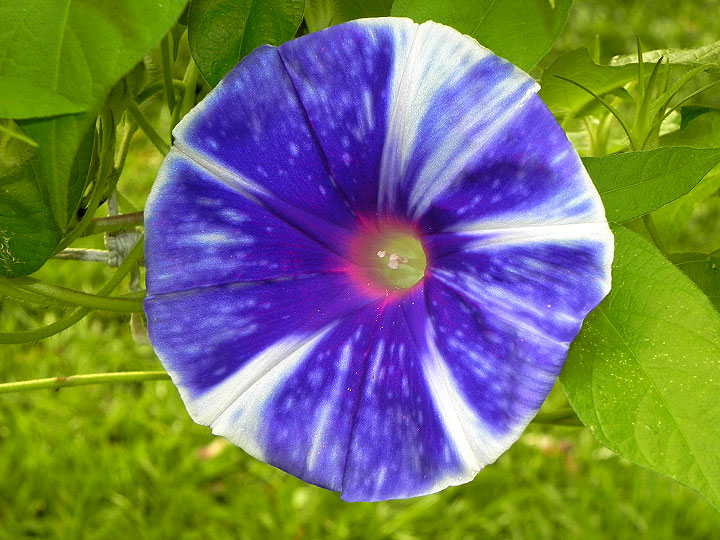 DSCN4874
