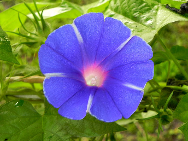 DSCN4885