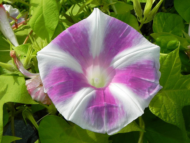 DSCN4928