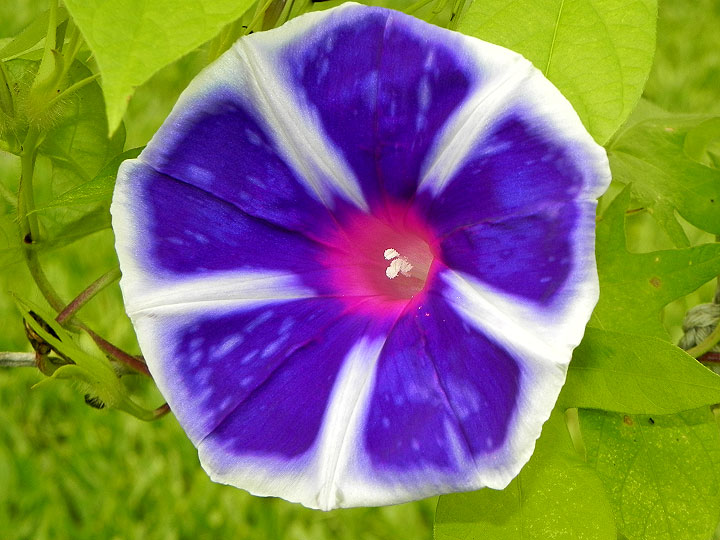DSCN5012