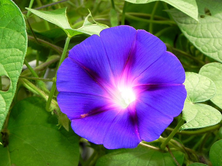 DSCN5061
