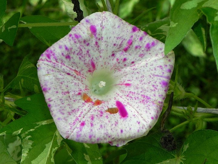 DSCN5083_01