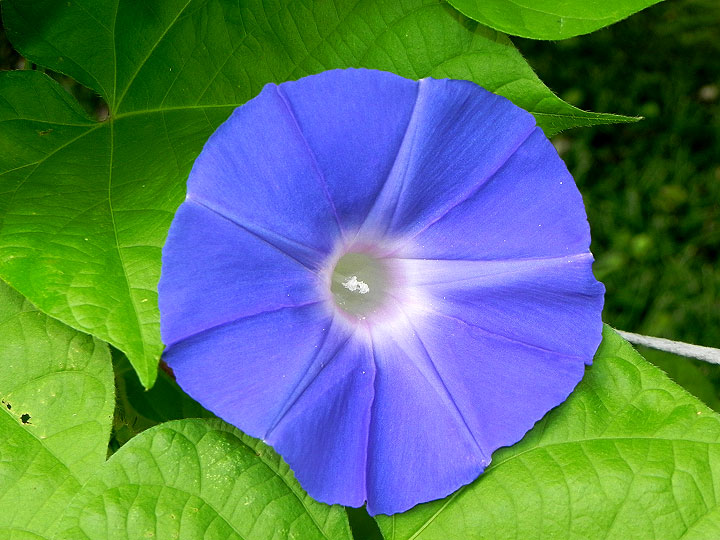 DSCN5097_01