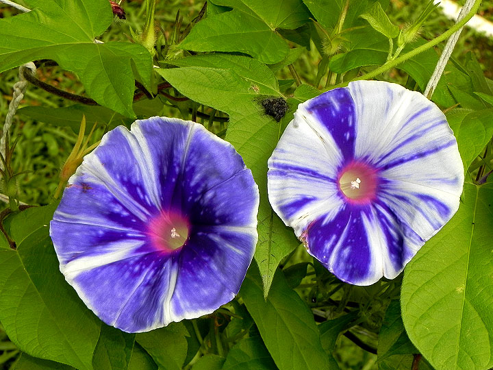 DSCN5109_02