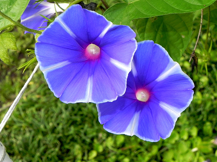 DSCN5126_01
