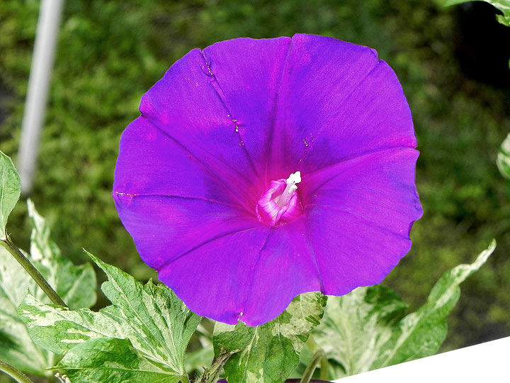 DSCN5128_01