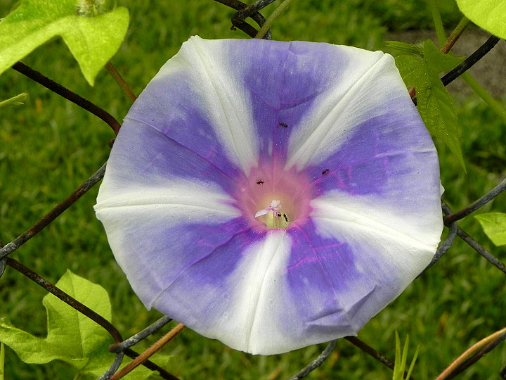 DSCN5170_02