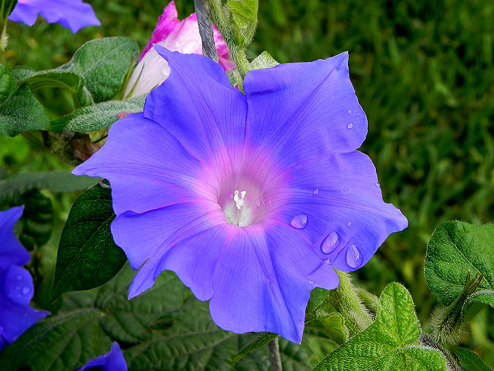DSCN5222