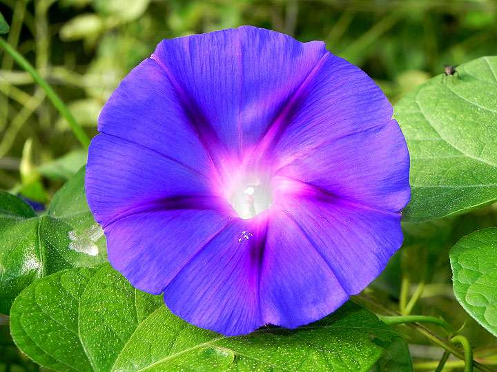 DSCN5279