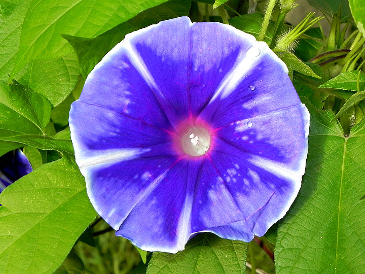 DSCN5322