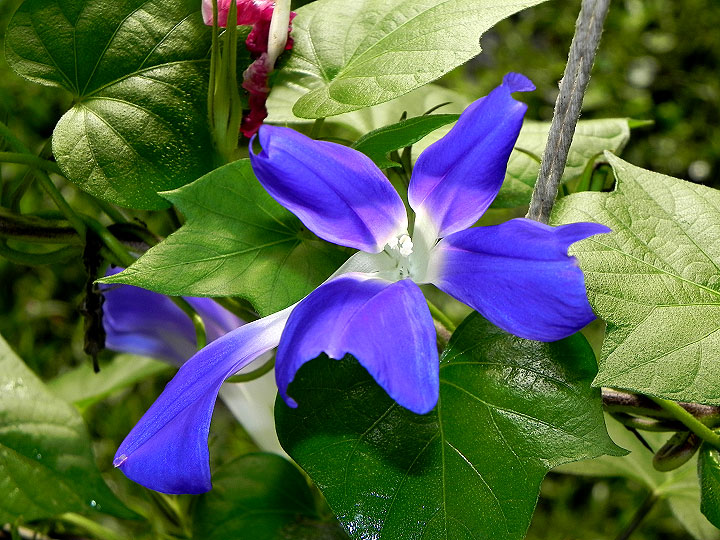 DSCN5327