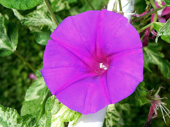 DSCN5341_01