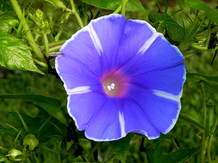 DSCN5345_01