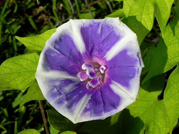 DSCN5372_01
