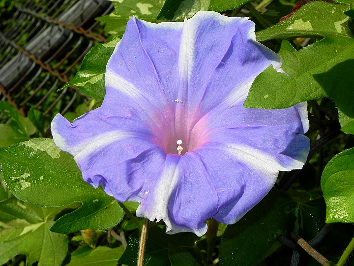 DSCN5380_01