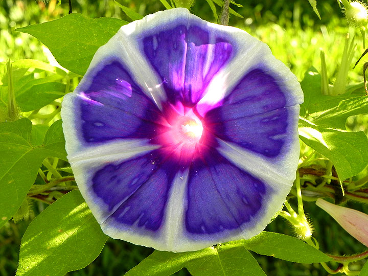 DSCN5436_01