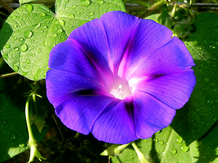 DSCN5464_01