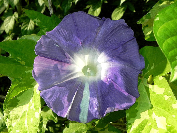 DSCN5483_01