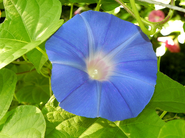 DSCN5488_01