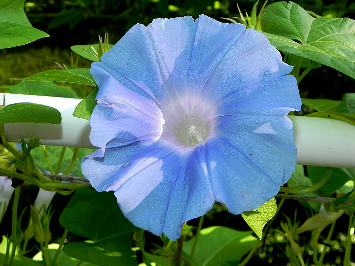 DSCN5489_01