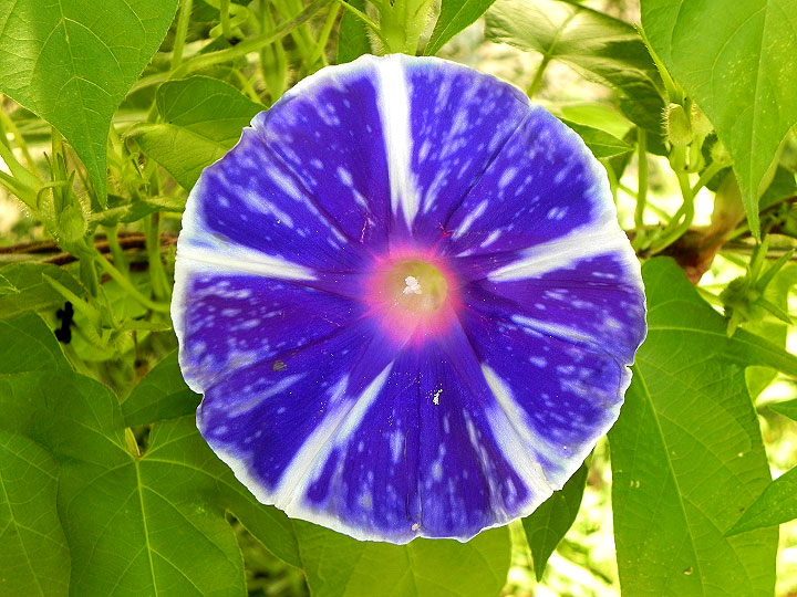 DSCN5495_01