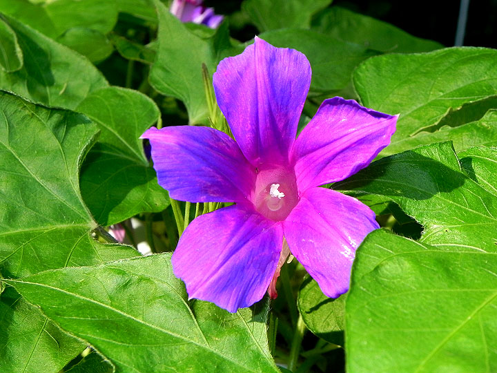 DSCN5502_01