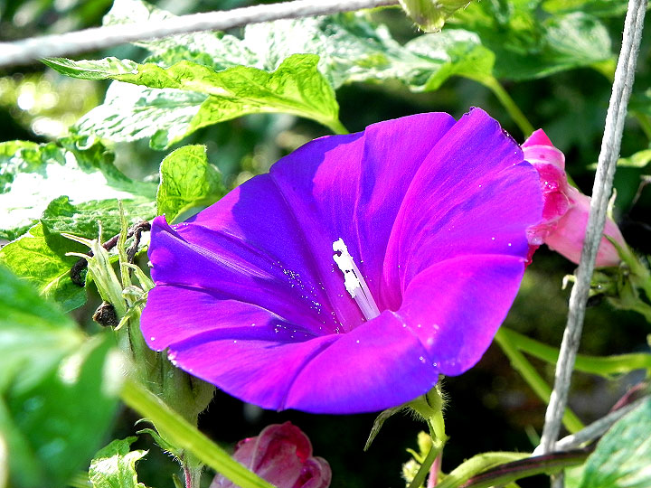 DSCN5505_01