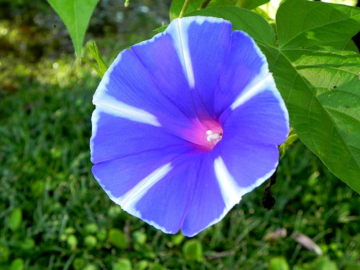 DSCN5506_01